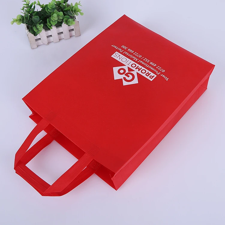 Promotional non-woven bag with logo for admissions show
