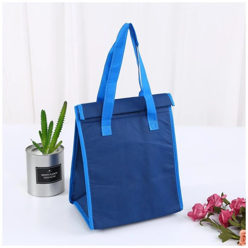 Customized Insulated Food Delivery Cooler Bag