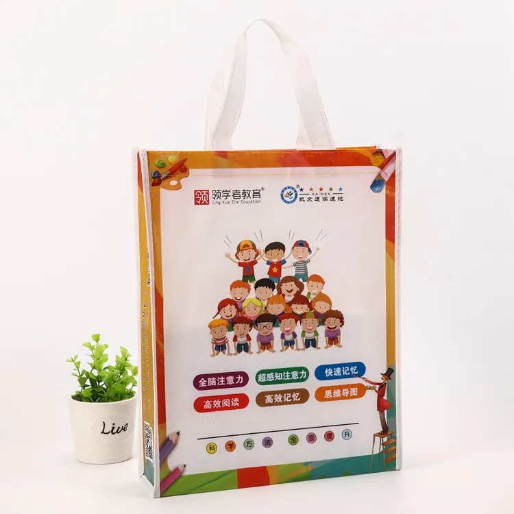 Printed non-woven bags with logo for educational institutions